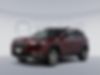 1C4PJMDXXLD635329-2020-jeep-cherokee-0