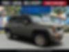 ZACNJABBXLPL24057-2020-jeep-renegade-0