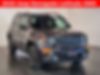ZACNJBBB1LPM01582-2020-jeep-renegade-1
