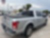 1FTEW1CG8HKD07211-2017-ford-f-150-1