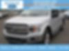 1FTEW1EP8KKD41055-2019-ford-f-150-0