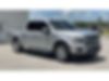 1FTEW1CP7KFB59259-2019-ford-f-150-0