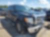 1FTEW1CMXDFC32438-2013-ford-f-150-0