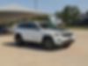 1C4RJFLT0KC775607-2019-jeep-grand-cherokee-2