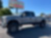 1FTSX2BR3AEA28584-2010-ford-f-250-0