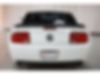 1ZVHT82H785192847-2008-ford-mustang-2
