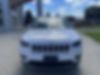 1C4PJMDX4LD510035-2020-jeep-cherokee-1