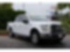 1FTEW1E82GFB73860-2016-ford-f-150-0