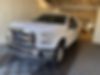 1FTEW1E85GKE76543-2016-ford-f-150-0