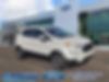 MAJ6S3KL4KC263919-2019-ford-ecosport-0