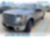 1FTFW1ET9DFC70056-2013-ford-f-150-0