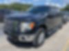 1FTFW1ET7CKD86197-2012-ford-f-150-0