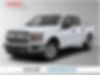 1FTEW1EPXJKF04125-2018-ford-f-150-0