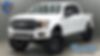 1FTEW1EP1KFA12349-2019-ford-f-150-0