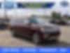 1FMJK1MTXLEA06898-2020-ford-expedition-0