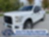 1FTEW1EP6HFB02783-2017-ford-f-150-0