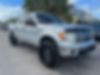 1FTFW1ET6BFD02474-2011-ford-f-150-0