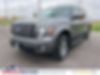 1FTFW1EF0BFD41751-2011-ford-f-150-0