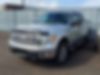 1FTFW1ET7DFB62387-2013-ford-f-150-2
