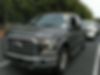 1FTEW1EP0HFB00141-2017-ford-f-150-0