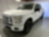 1FTEW1EF8FKD03032-2015-ford-f-150-0