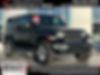 1C4HJXEN3LW165135-2020-jeep-wrangler-unlimited-0