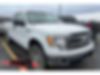 1FTFX1EFXDFC07104-2013-ford-f-150-0