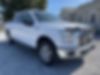 1FTEW1EF6HKC02347-2017-ford-f-150-0