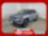 3C4NJDDB1LT166816-2020-jeep-compass-0
