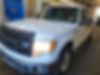 1FTFW1ET7BKD40836-2011-ford-f-150-0
