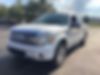 1FTFW1CT1BFB47934-2011-ford-f-150