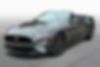 1FATP8UHXK5104773-2019-ford-mustang-0