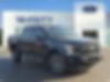 1FTEW1E4XKFD43405-2019-ford-f-150-0