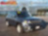 ZACNJABB0LPL91752-2020-jeep-renegade-0