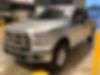 1FTEW1E8XHFB53339-2017-ford-f-150-0