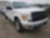 1FTFW1ET7BKD40836-2011-ford-f-150-0