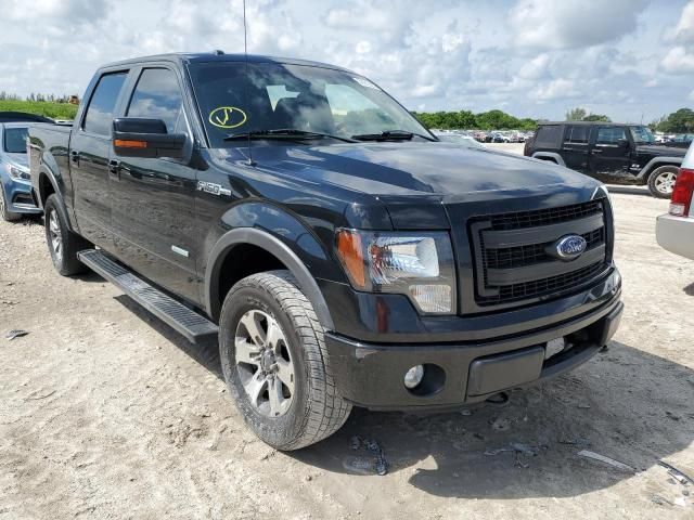 1FTFW1ET1DFD64027-2013-ford-f-150-0