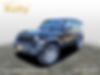 1C4HJXDG1LW167856-2020-jeep-wrangler-unlimited
