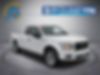 1FTEX1EP3JFB46954-2018-ford-f-150-1