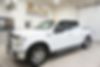1FTEW1EP8GKE79749-2016-ford-f-150