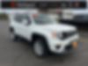 ZACNJDBB6MPM14891-2021-jeep-renegade