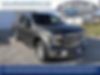 1FTEW1EP2HKD06486-2017-ford-f-150-0