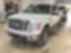 1FTFW1ET9BFB08134-2011-ford-f-150-0