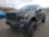 1FTEW1EP9GFC66396-2016-ford-f-150