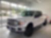 1FTFW1E45KFD10834-2019-ford-f-150-0
