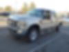 1FTSW21R79EA91204-2009-ford-f-250-0