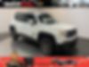ZACCJBBT7GPD52140-2016-jeep-renegade-0
