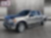 1FTEW1C88AFD04106-2010-ford-f-150-0