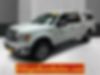 1FTFW1ET6CKD52204-2012-ford-f-150-0