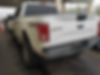 1FTEW1EF9GFB55256-2016-ford-f-150-1